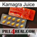 Kamagra Juice new01